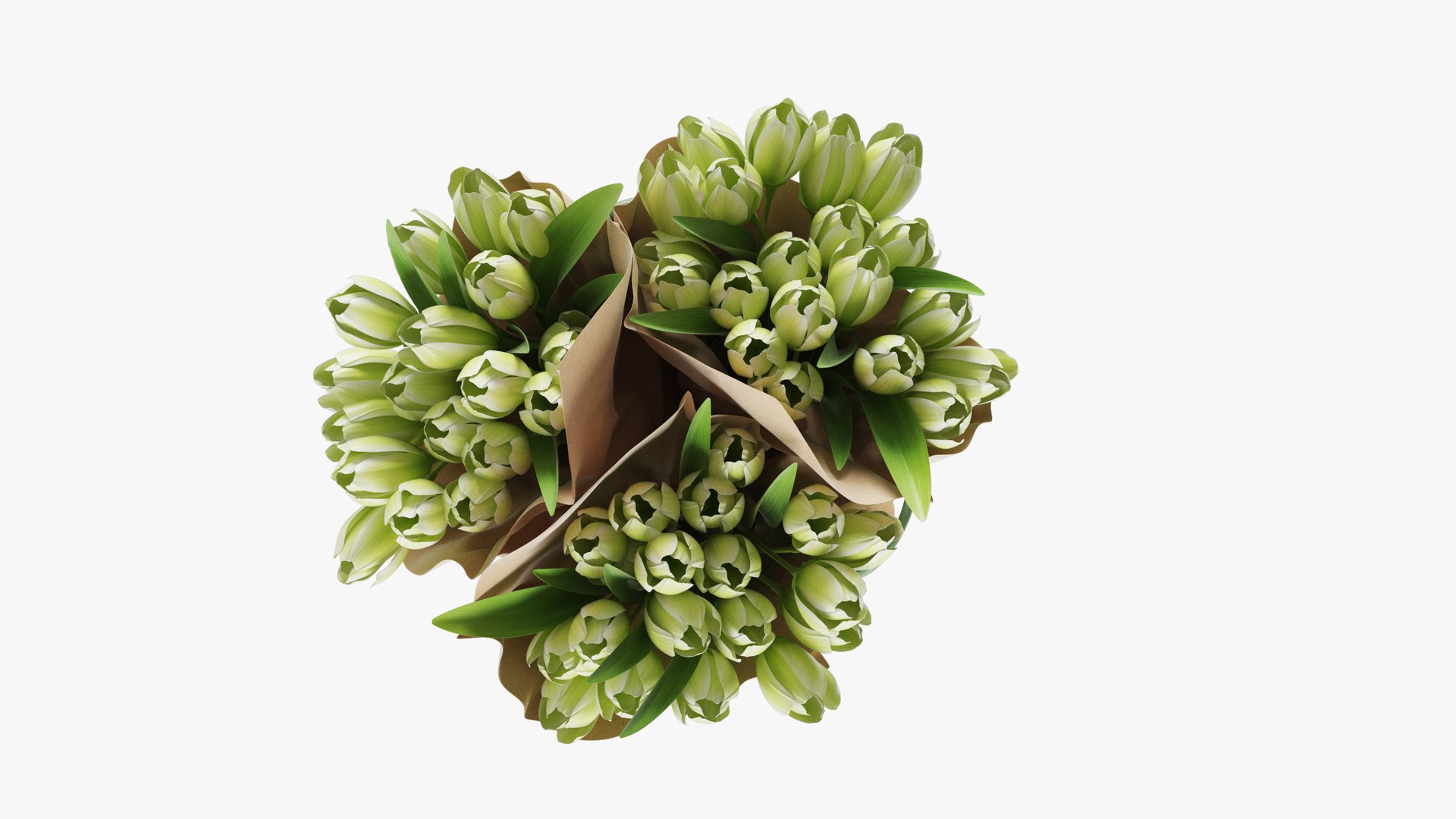 Flowers In Buckets Bundle 03 3D model https://p.turbosquid.com/ts-thumb/fX/MUVgLb/Z5/07c/jpg/1763906382/1920x1080/fit_q87/78e9527468ee89367551912566e1814512848a86/07c.jpg