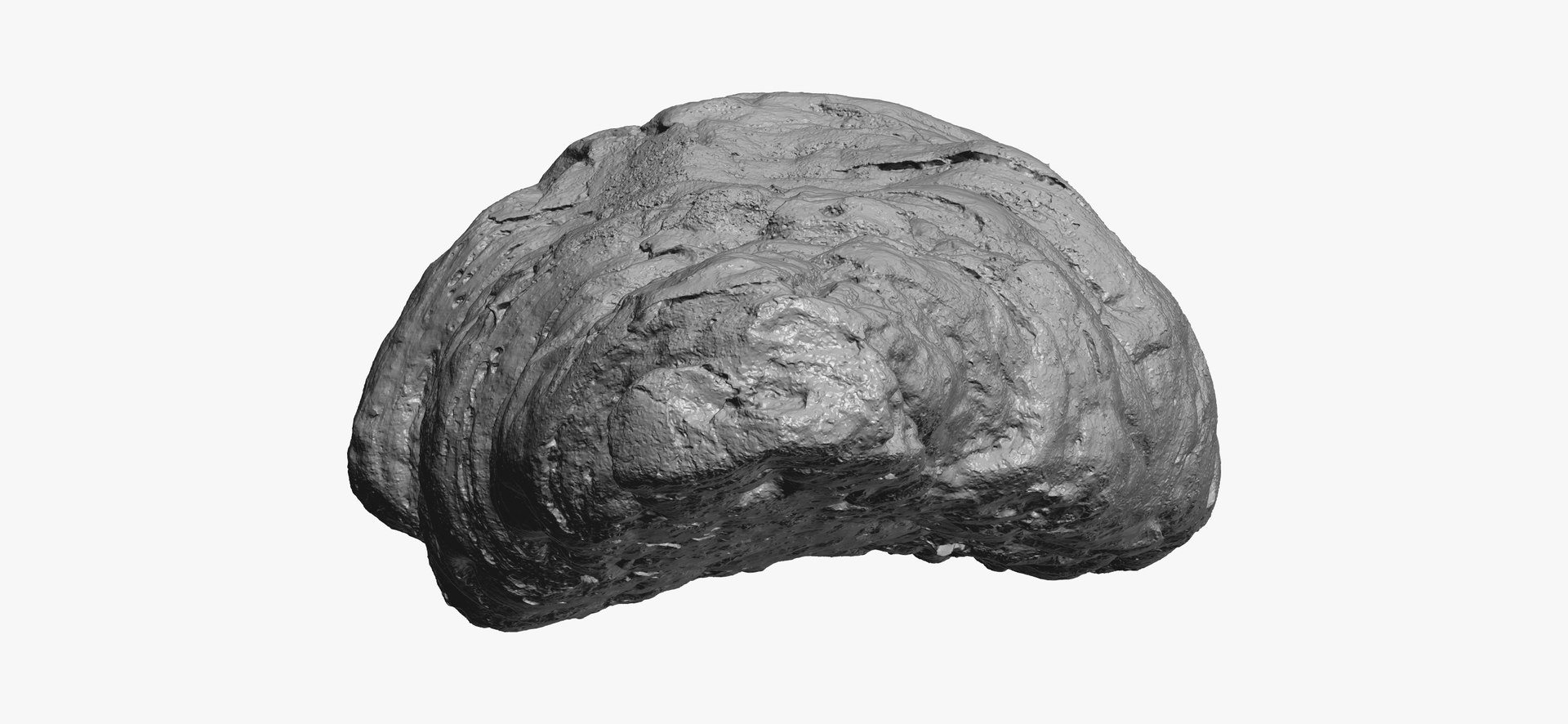 3D croissant 01 raw scan https://p.turbosquid.com/ts-thumb/fX/NeyBDe/5ZCY3z6v/croissant01thumbnail12/jpg/1606124383/1920x1080/fit_q87/bb28262cbae1a6b1d544ada6e2223e9992a9b391/croissant01thumbnail12.jpg
