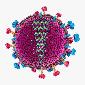 Flu Influenza Virus 3D model