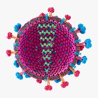 Flu Influenza Virus