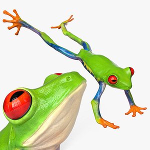 3D Jumping Red Eyed Tree Frog Animated Rigged for Blender