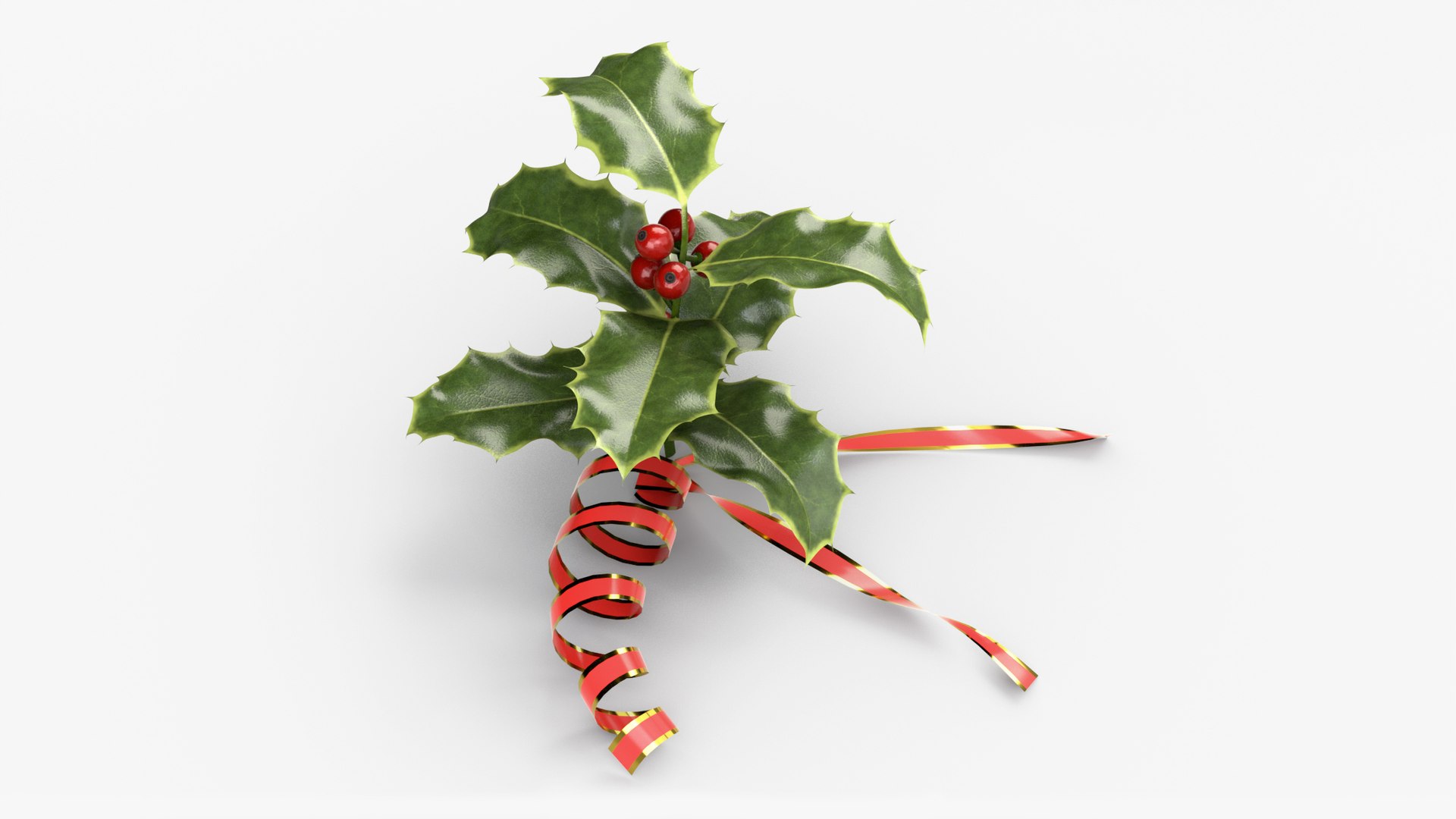 3D christmas holly model https://p.turbosquid.com/ts-thumb/fX/S813tt/2YwV9VuE/shotimageholly03/jpg/1567668671/1920x1080/fit_q87/212e74f34926585d5d14ca2f2343b3ade3083a8f/shotimageholly03.jpg