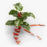 Christmas Holly