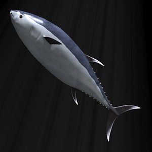 tuna fish