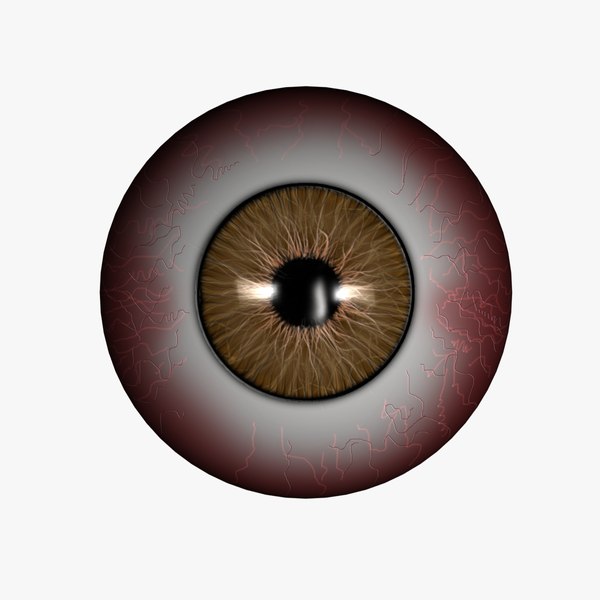 3d model eye ball