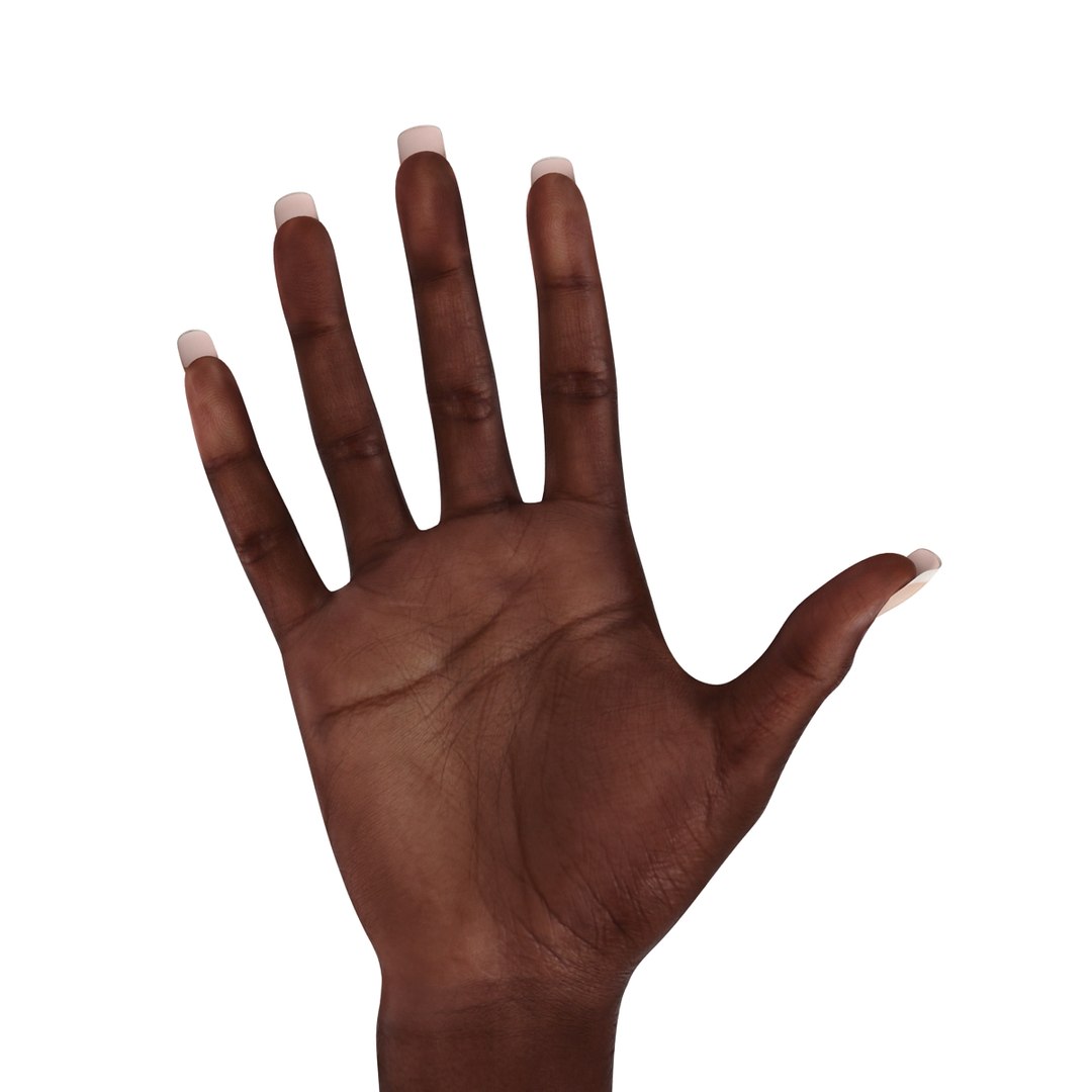 3d female hand african american