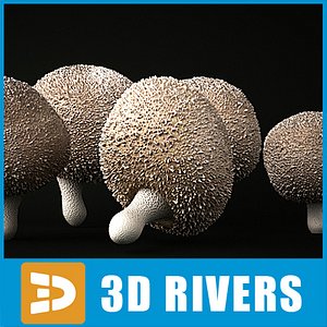 Gem-studded Puffball by 3DRivers