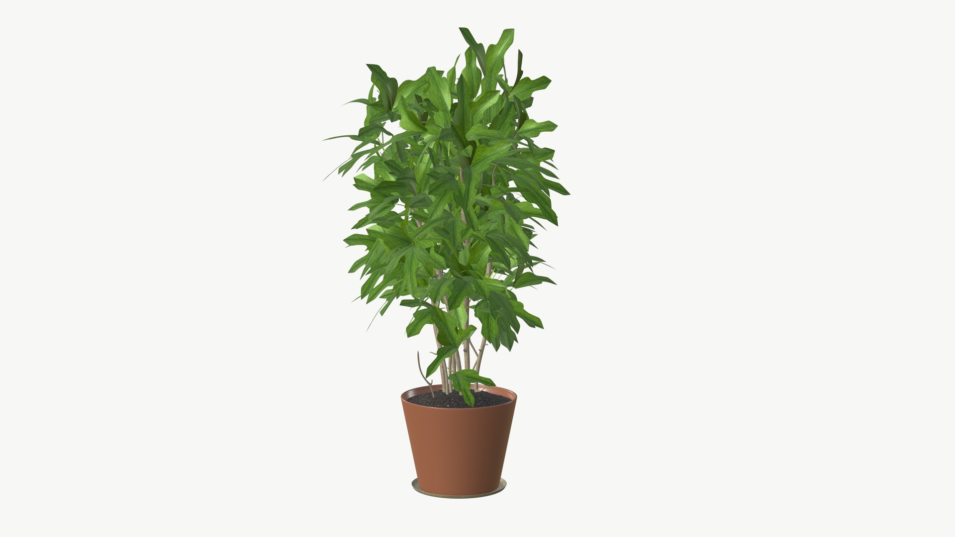 3D model Realistic Plant https://p.turbosquid.com/ts-thumb/fX/Yw65j2/0x/plantinterior_7/jpg/1704642644/1920x1080/fit_q87/0bf232bc009a5280bccc4cbc34d58de89a06c13a/plantinterior_7.jpg