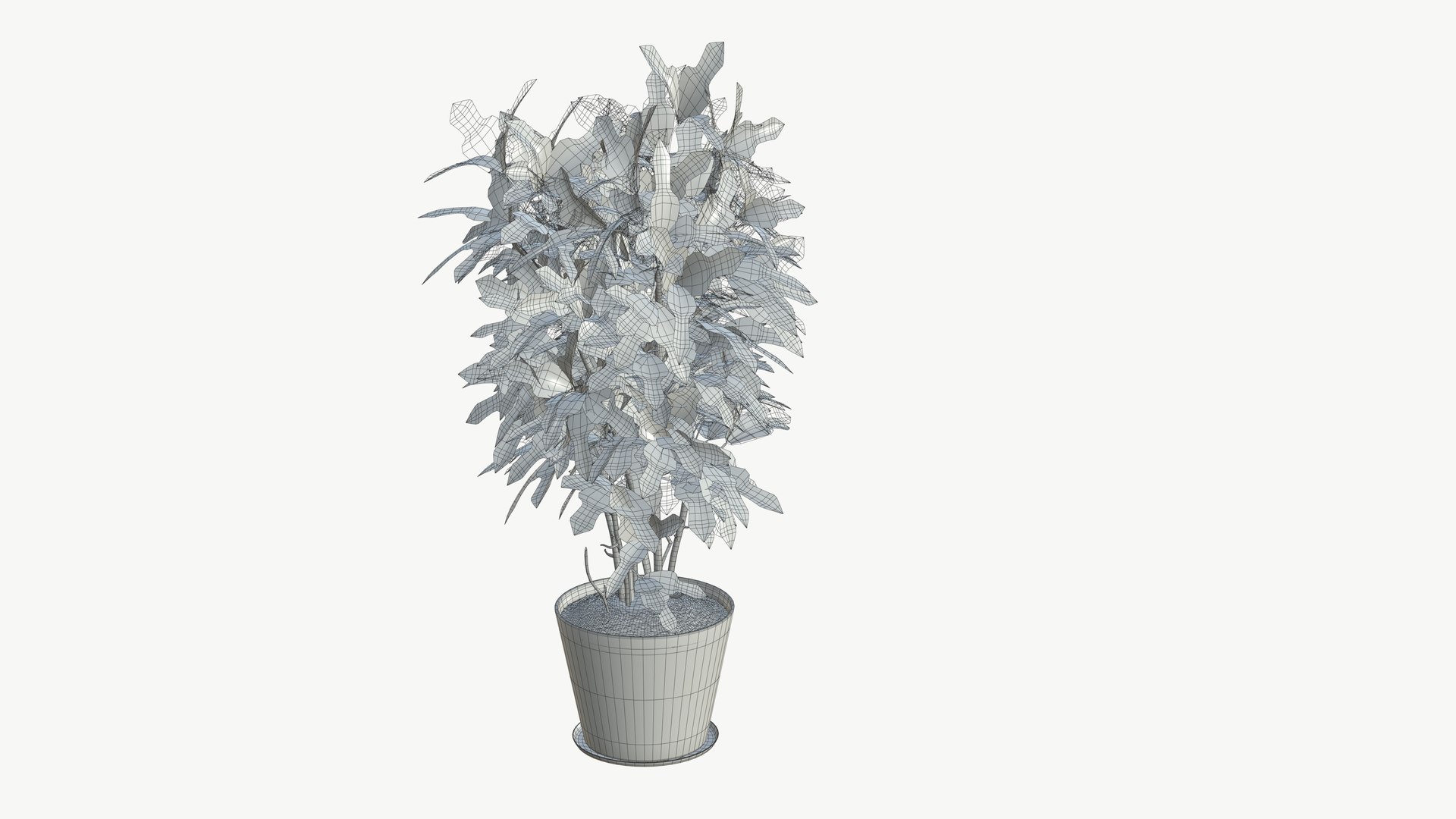 3D model Realistic Plant https://p.turbosquid.com/ts-thumb/fX/Yw65j2/G4/plantinterior_4/jpg/1704642643/1920x1080/fit_q87/33ef344885f3449d2eae6e3b6dfbc863c4509234/plantinterior_4.jpg