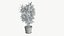 Realistic Plant