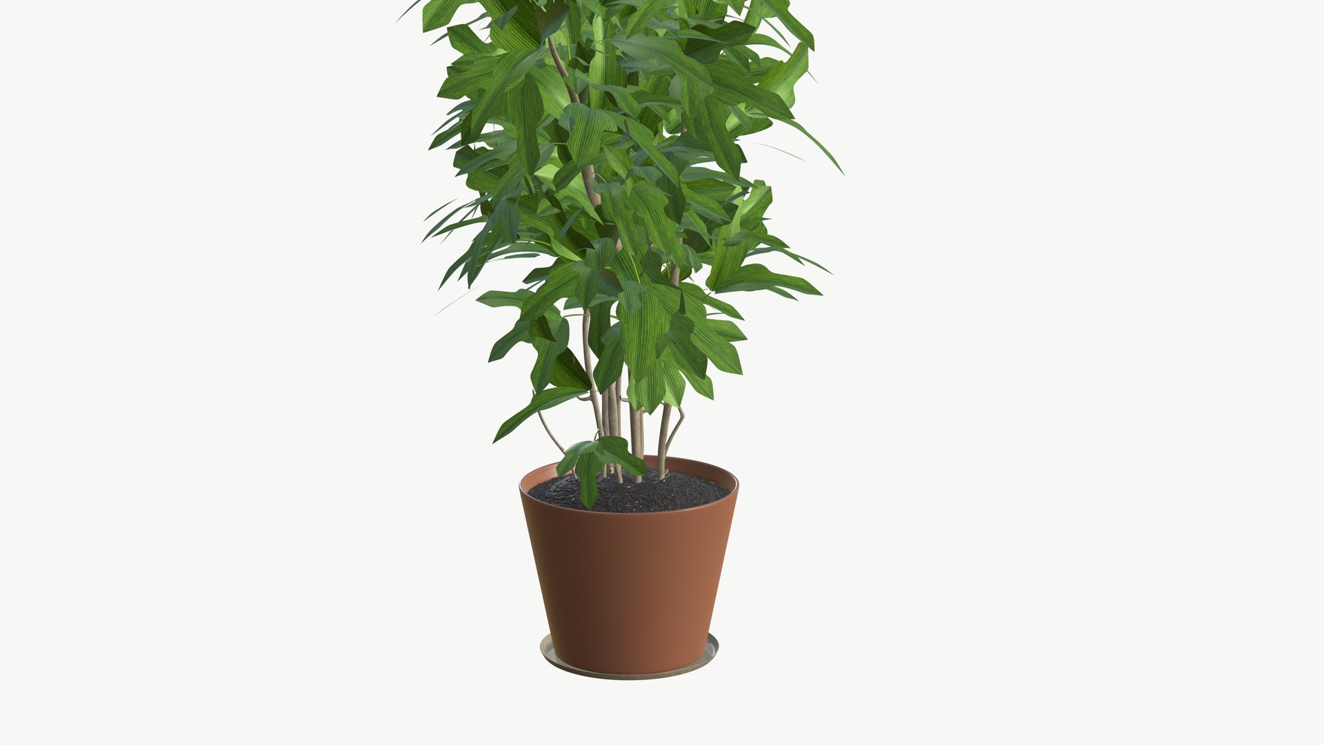 3D model Realistic Plant https://p.turbosquid.com/ts-thumb/fX/Yw65j2/aA/plantinterior_9/jpg/1704642645/1920x1080/fit_q87/2f3391f26bf75e345cf536f9630db8a6c46cafce/plantinterior_9.jpg
