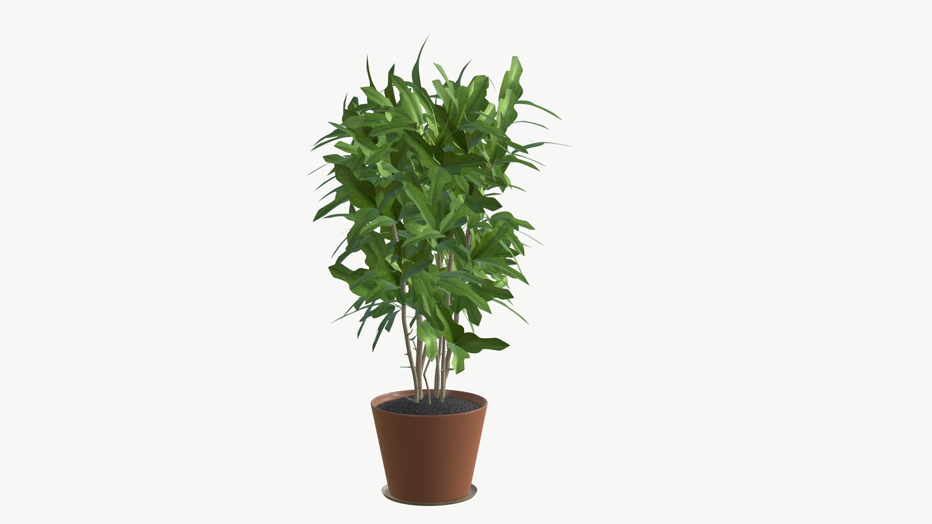 3D model Realistic Plant https://p.turbosquid.com/ts-thumb/fX/Yw65j2/ho/plantinterior_8/jpg/1704642645/1920x1080/fit_q87/722260d5be72216ab687d73a94ff2a3e1f3aeac8/plantinterior_8.jpg