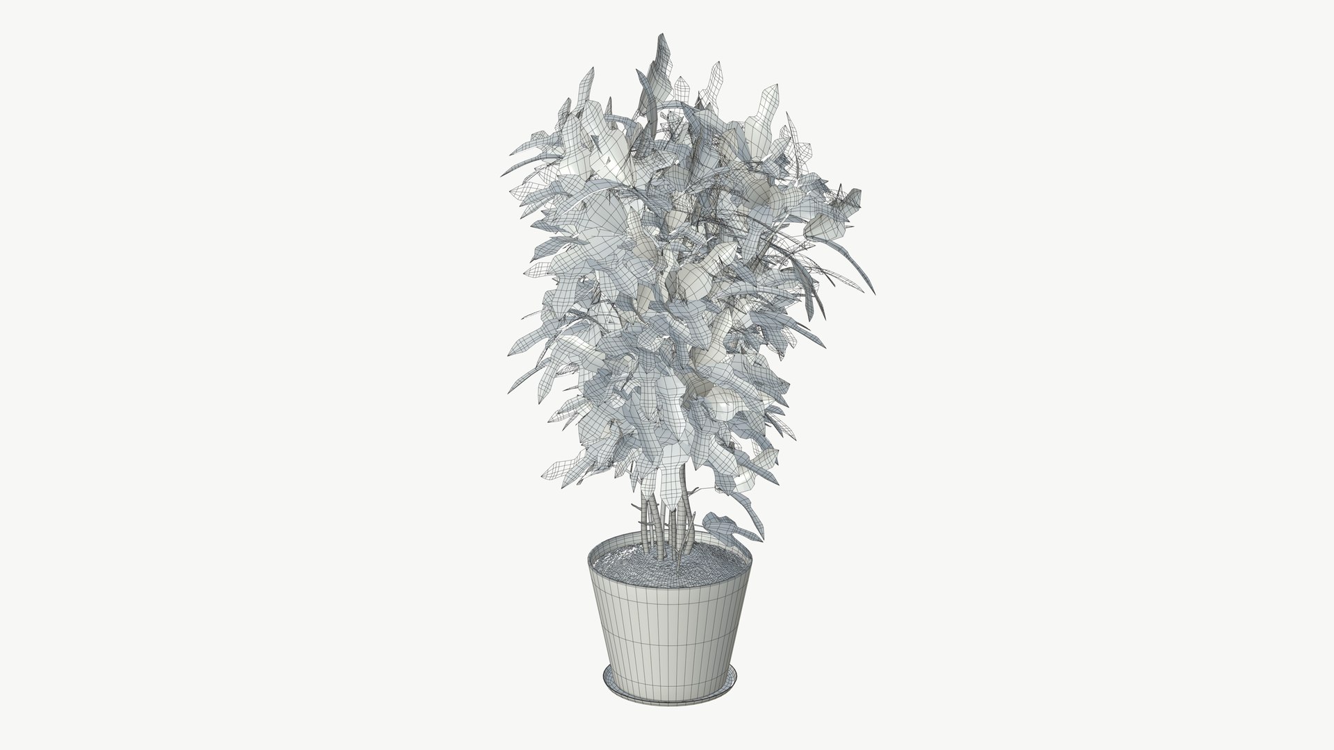 3D model Realistic Plant https://p.turbosquid.com/ts-thumb/fX/Yw65j2/oO/plantinterior_5/jpg/1704642643/1920x1080/fit_q87/6a589c1cd87556bda26174f9fcbd1853d45ac835/plantinterior_5.jpg
