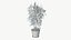Realistic Plant