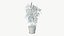 Realistic Plant