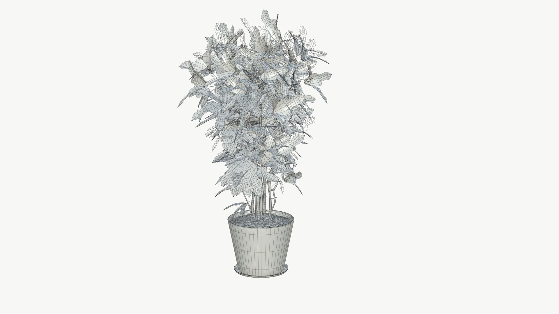 3D model Realistic Plant https://p.turbosquid.com/ts-thumb/fX/Yw65j2/v2/plantinterior_3/jpg/1704642642/1920x1080/fit_q87/9637c01cf92029e7c4721c269263c5a1cd5c67dc/plantinterior_3.jpg