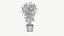Realistic Plant