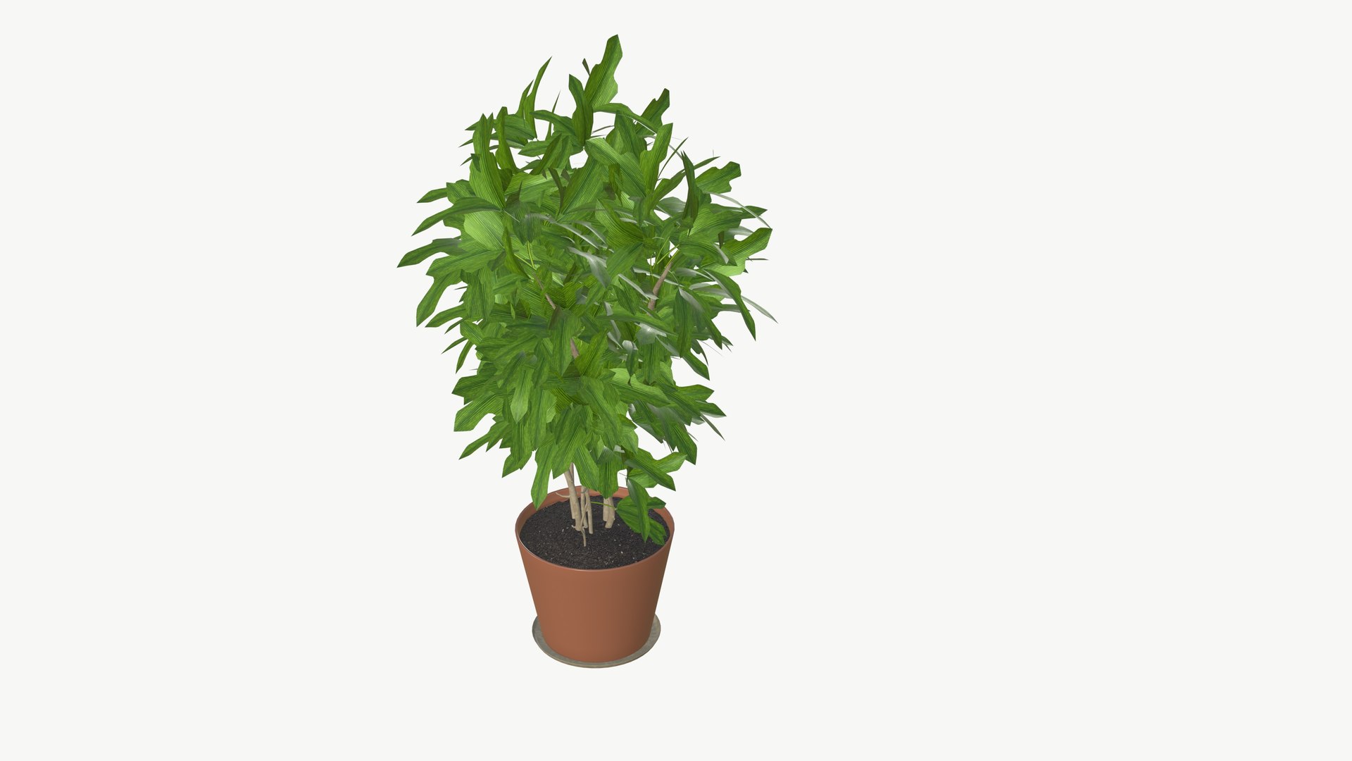 3D model Realistic Plant https://p.turbosquid.com/ts-thumb/fX/Yw65j2/yF/plantinterior_1/jpg/1704642641/1920x1080/fit_q87/b2bed0184b1bd3c8be85a1713693d2b427e38473/plantinterior_1.jpg