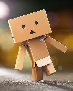 Danbo Character High Poly 3D Model, Full Rigged - clean