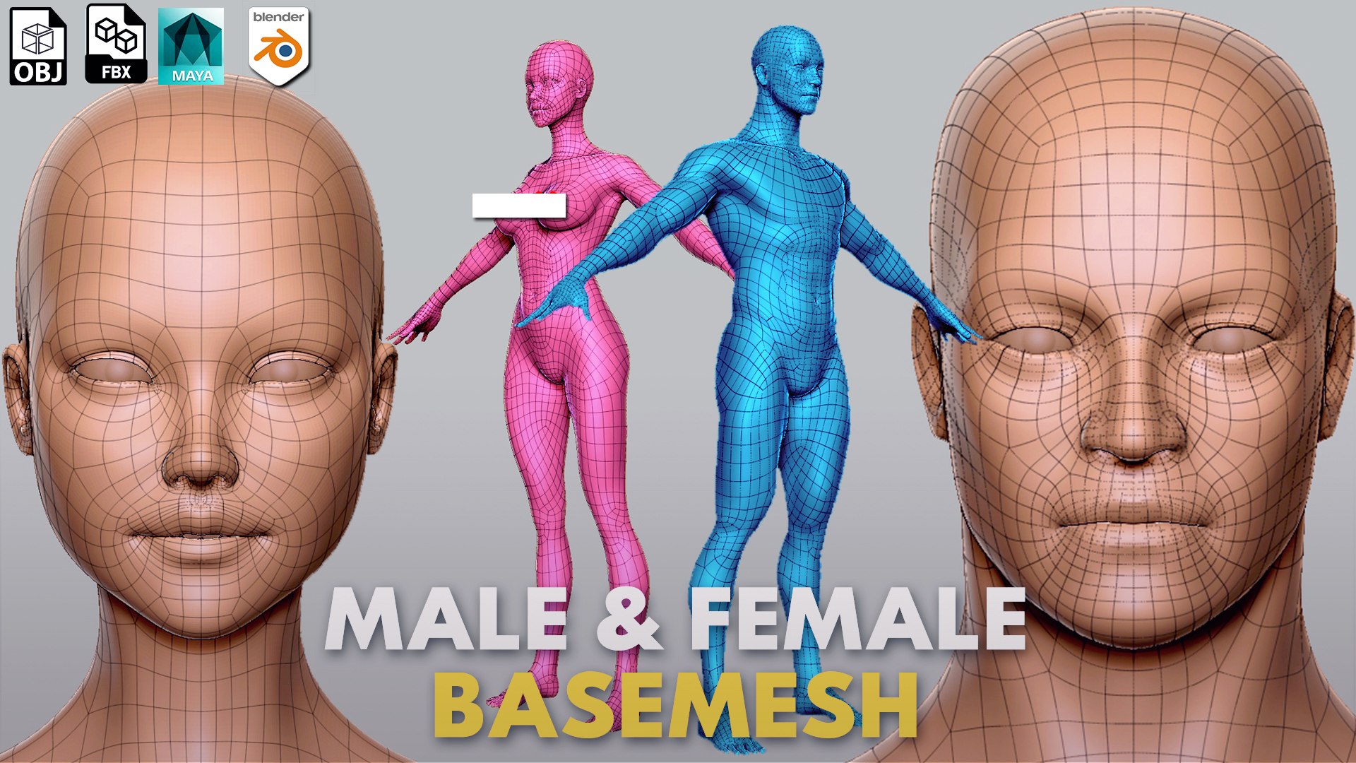 13 Human Basemesh Collection 3D Model - TurboSquid 2235521