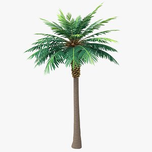 Cartoon Palm Tree 02 3D model