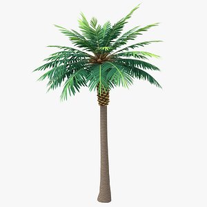 Cartoon Palm Tree 02