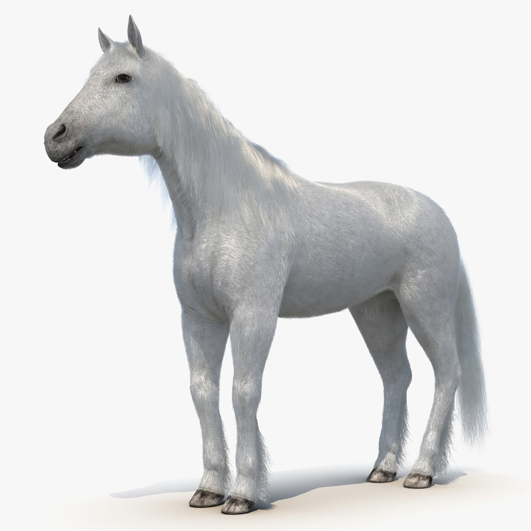White Horse with Fur 2 3D Model 3D model preview