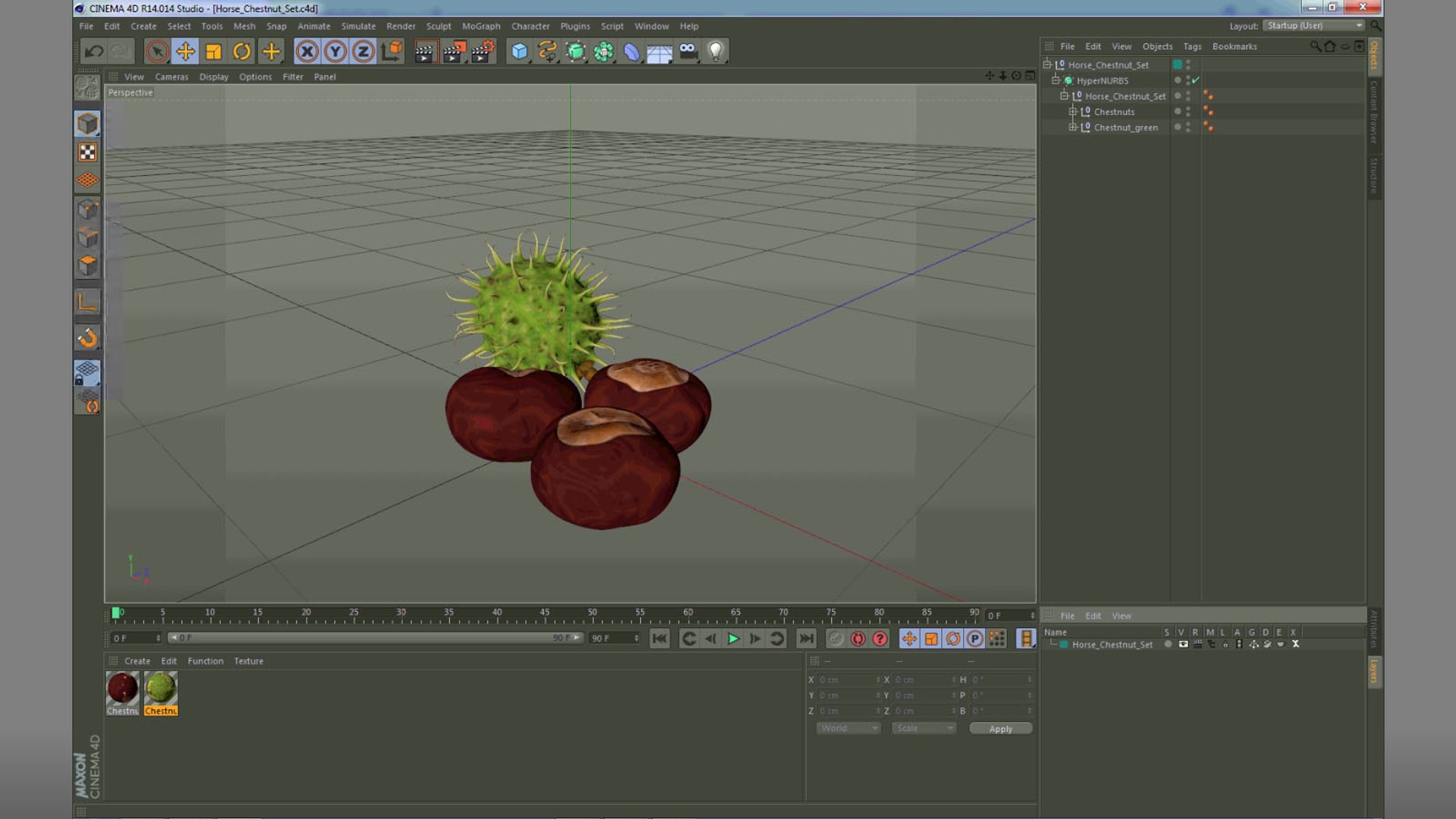 horse chestnut set nut 3D https://p.turbosquid.com/ts-thumb/fX/zachMy/IzrwrNsQ/horsechestnutsetmb3dmodel026/jpg/1576809037/1920x1080/fit_q87/a36646c89e60d8472d5e679e367ab0939b52e26f/horsechestnutsetmb3dmodel026.jpg