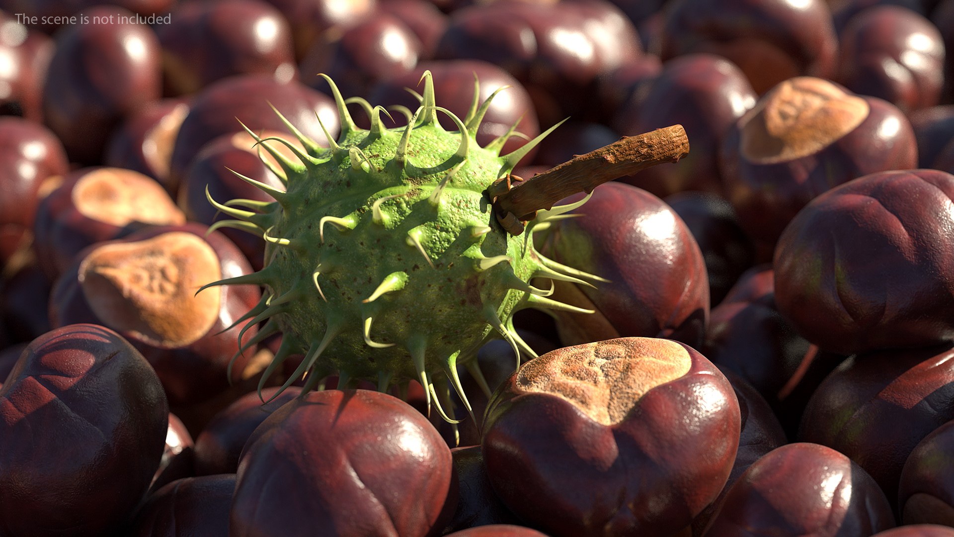 horse chestnut set nut 3D https://p.turbosquid.com/ts-thumb/fX/zachMy/P5tTGetJ/horsechestnutsetmb3dmodel006/jpg/1576808940/1920x1080/fit_q87/079a205c4c986a7cf95ab147d11e16a036303806/horsechestnutsetmb3dmodel006.jpg