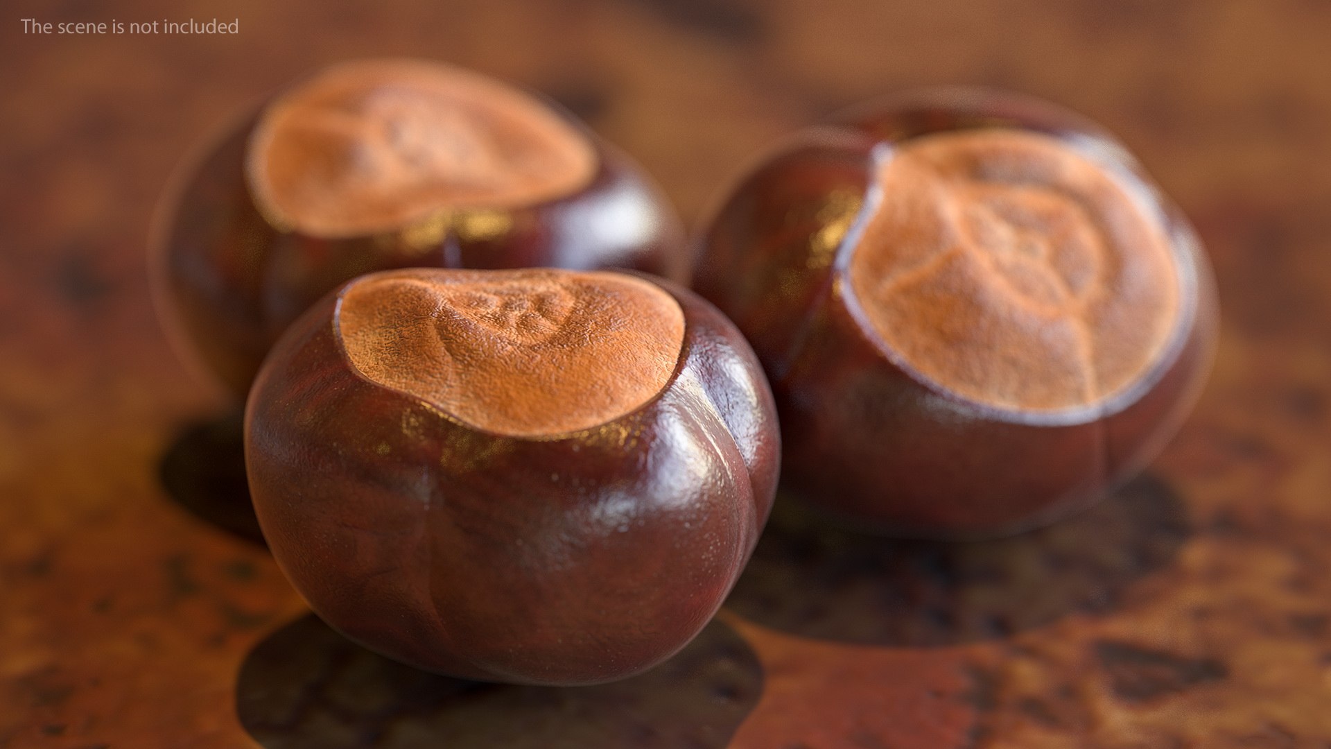 horse chestnut set nut 3D https://p.turbosquid.com/ts-thumb/fX/zachMy/SFse2vF3/horsechestnutsetmb3dmodel003/jpg/1576808926/1920x1080/fit_q87/30782ce98be6e85e000fa9f199d3a6785440f505/horsechestnutsetmb3dmodel003.jpg