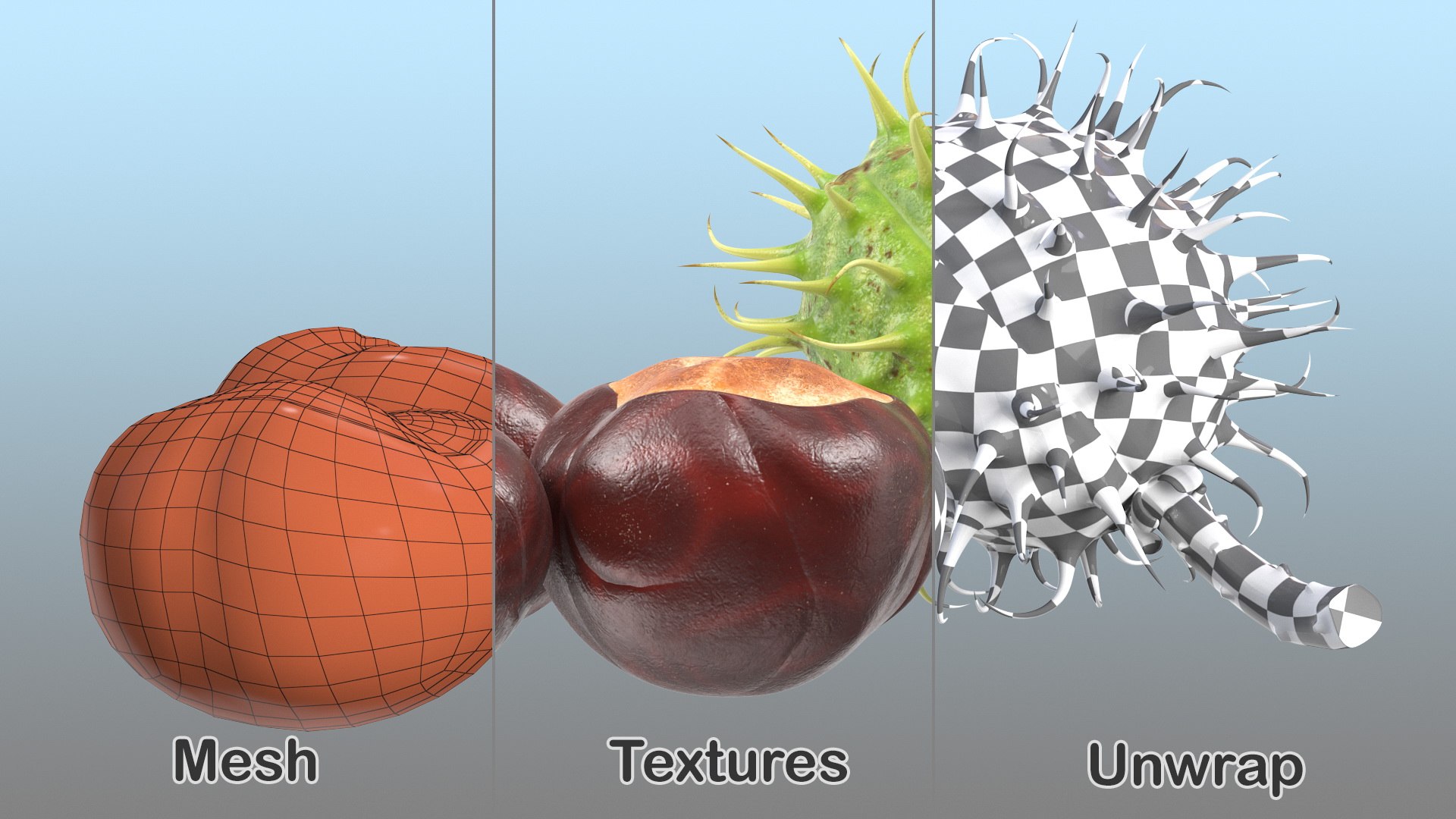 horse chestnut set nut 3D https://p.turbosquid.com/ts-thumb/fX/zachMy/i3unqXxd/horsechestnutsetmb3dmodel020/jpg/1576809005/1920x1080/fit_q87/e05305dfe148d4e6232fa2c62c0cc53371efeb05/horsechestnutsetmb3dmodel020.jpg