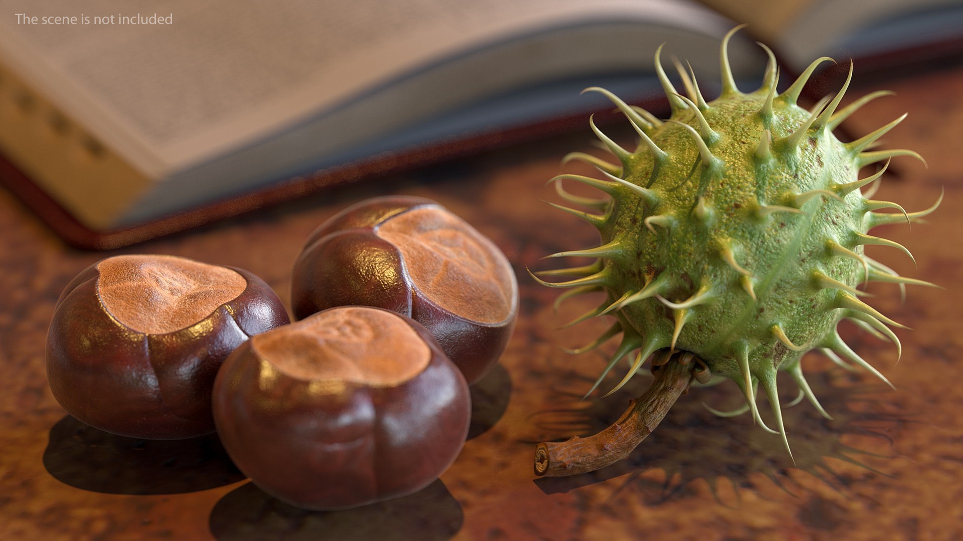 horse chestnut set nut 3D https://p.turbosquid.com/ts-thumb/fX/zachMy/oUHFokmZ/horsechestnutsetmb3dmodel001/jpg/1576808916/1920x1080/fit_q87/3676824133618112f3da0ea490fd76ddac7cbe28/horsechestnutsetmb3dmodel001.jpg