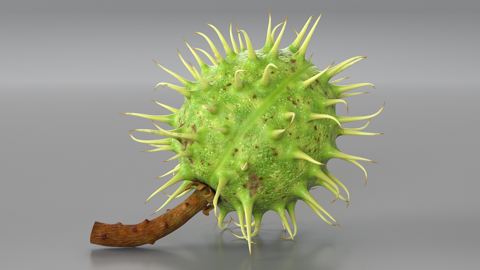 horse chestnut set nut 3D https://p.turbosquid.com/ts-thumb/fX/zachMy/pam5e9GS/horsechestnutsetmb3dmodel010/jpg/1576808959/1920x1080/fit_q87/5a8a12398fefe13e84e51886237a10f0c8889d0b/horsechestnutsetmb3dmodel010.jpg