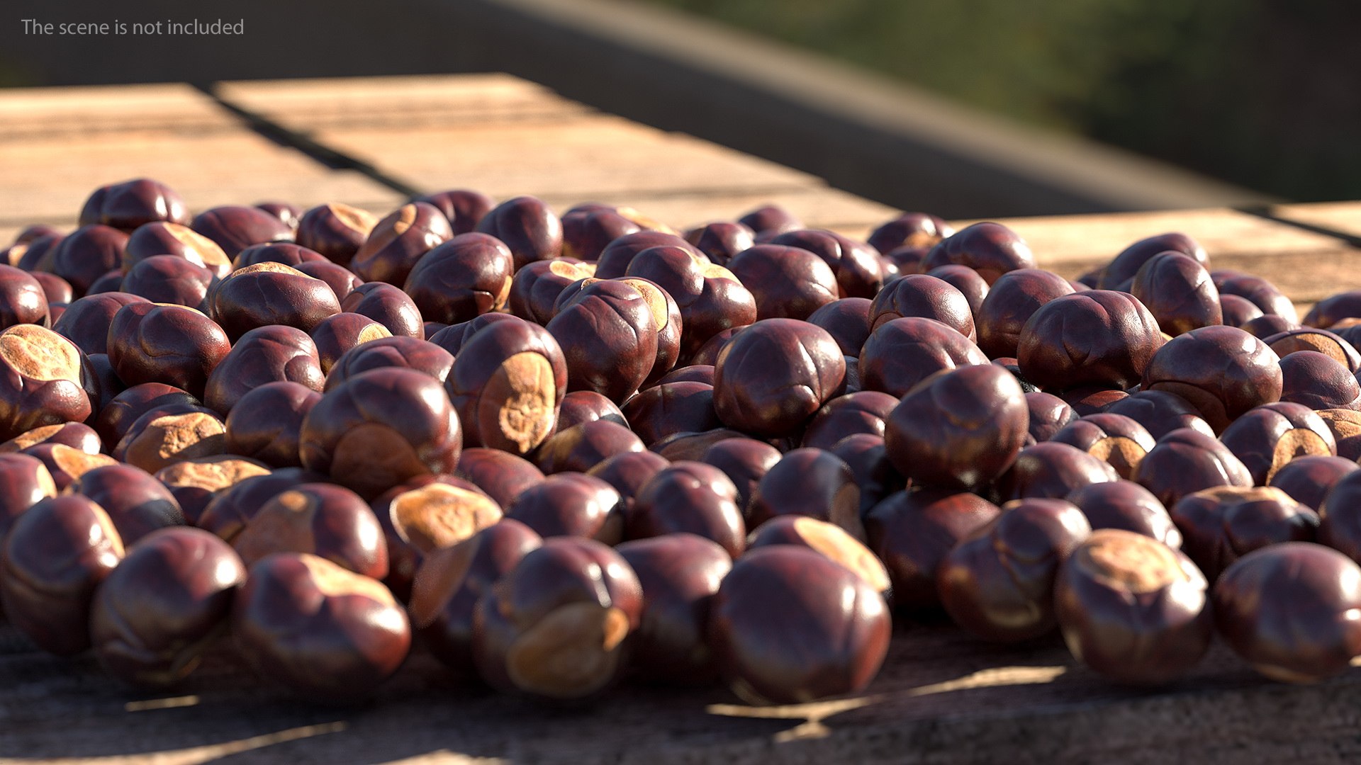 horse chestnut set nut 3D https://p.turbosquid.com/ts-thumb/fX/zachMy/tANrcwXu/horsechestnutsetmb3dmodel004/jpg/1576808930/1920x1080/fit_q87/2bea29d6f94f4547a9f95b434faa0abcabb751d8/horsechestnutsetmb3dmodel004.jpg