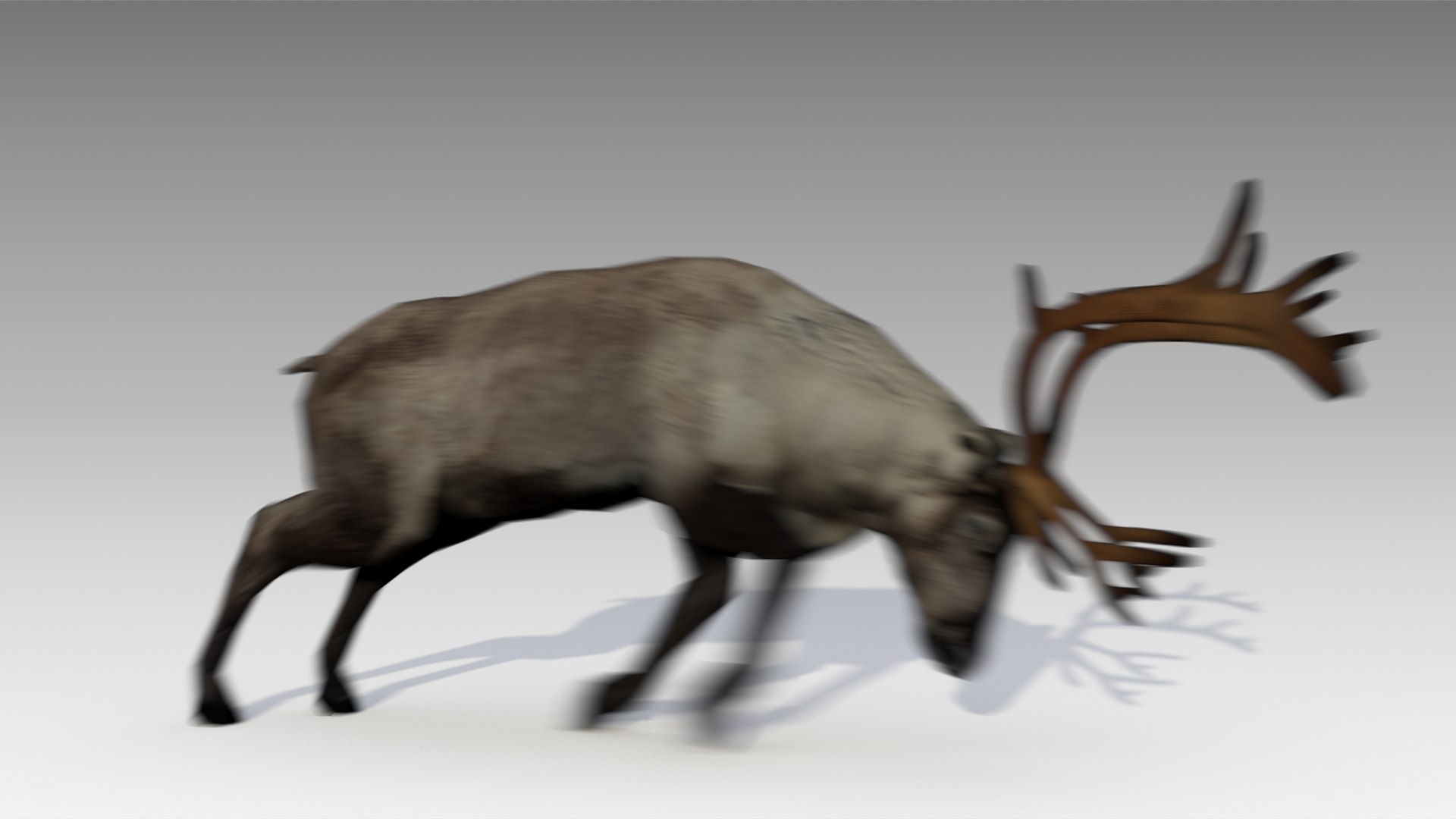 Reindeer Animations 3d Max