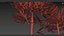 Araucaria araucana Monkey Puzzle Tree 3D model