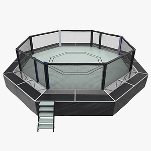 fighting octagon arena 3D model