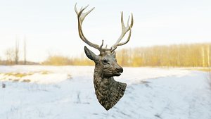Deer Head 3D