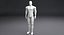 Sarcelle de robot