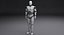 Sarcelle de robot