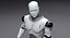 Sarcelle de robot