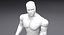 Sarcelle de robot