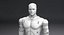 Sarcelle de robot