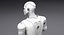 Sarcelle de robot