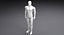Sarcelle de robot