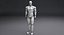 Sarcelle de robot