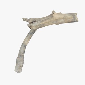 photorealistic stick 3D