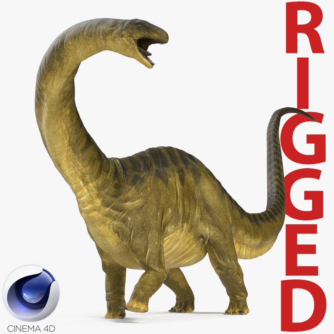 Apatosaurus Dinosaur Rigged for Cinema 4D 3D model preview