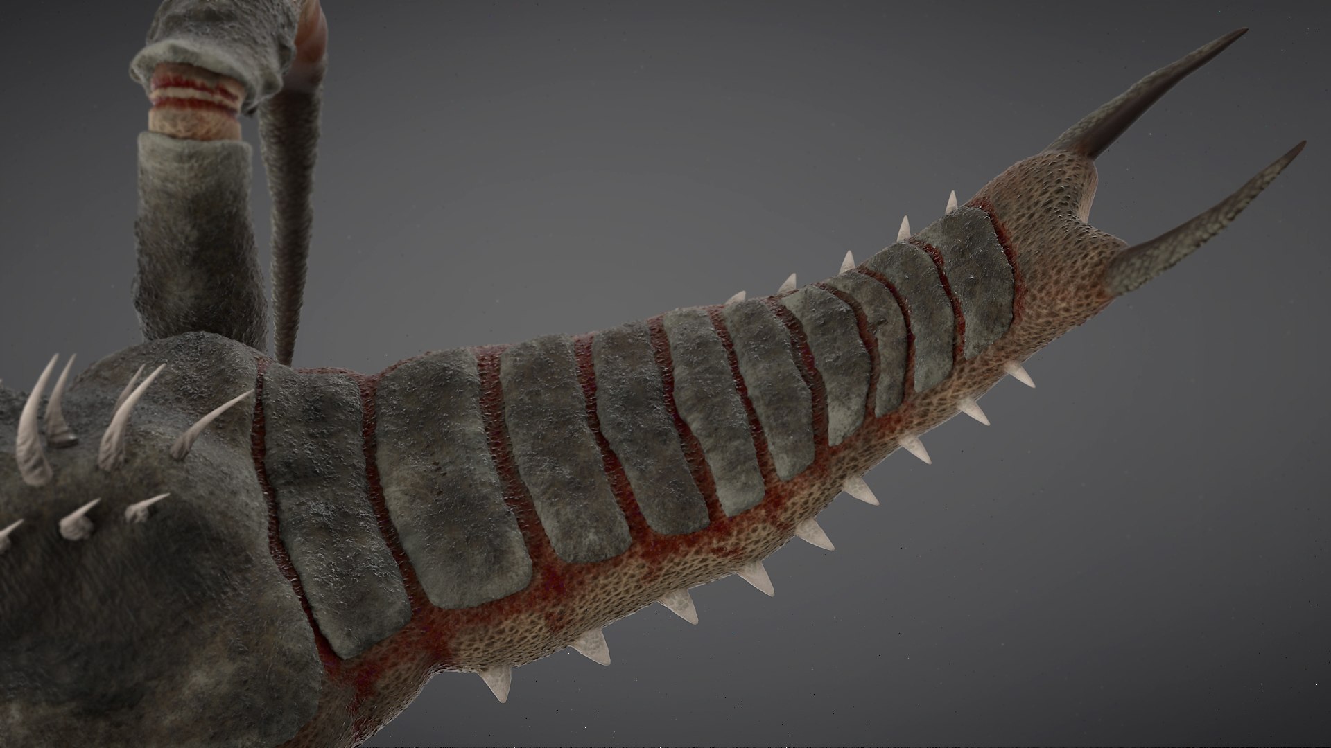 Arachnid Monster 3D model https://p.turbosquid.com/ts-thumb/fZ/2ueTvK/XD/a13/jpg/1667565212/1920x1080/fit_q87/a535b2f4497c0f2e2f54b0faaca292f462c4cc91/a13.jpg