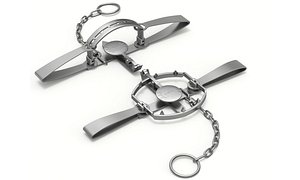 3D bear trap